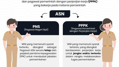 beda-pns-dan-pppk