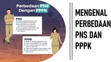 kontrak pppk